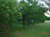 2004-06-06-TX-37.jpg (70088 bytes)