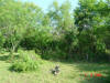 2004-06-06-TX-39.jpg (99725 bytes)