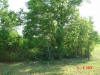 2004-06-06-TX-40.jpg (94707 bytes)