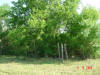 2004-06-06-TX-43.jpg (101669 bytes)