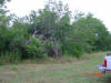 2004-06-07-TX-01.jpg (70064 bytes)