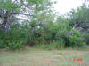 2004-06-07-TX-02.jpg (84100 bytes)
