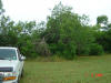 2004-06-07-TX-03.jpg (61760 bytes)