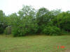 2004-06-07-TX-04.jpg (59802 bytes)