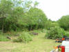 2004-06-07-TX-05.jpg (76801 bytes)