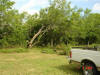 2004-06-07-TX-06.jpg (82020 bytes)