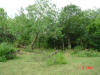2004-06-07-TX-08.jpg (78760 bytes)