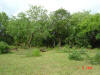 2004-06-07-TX-09.jpg (75575 bytes)