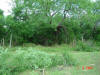 2004-06-07-TX-10.jpg (87444 bytes)