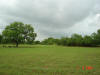 2004-06-07-TX-13.jpg (41328 bytes)