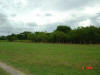 2004-06-09-TX-02.jpg (38836 bytes)