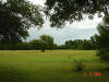 2004-06-09-TX-06.jpg (74101 bytes)