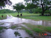 2004-06-09-TX-12.jpg (77064 bytes)