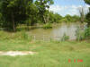 2004-06-10-TX-10.jpg (68332 bytes)