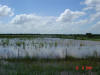 2004-06-10-TX-21.jpg (46722 bytes)