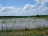 2004-06-10-TX-23.jpg (47449 bytes)