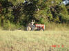 2008-11-08-TX-02.jpg (106579 bytes)