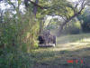 2008-11-08-TX-08.jpg (101819 bytes)