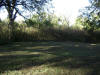 2008-11-08-TX-41.jpg (83810 bytes)