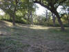 2008-11-08-TX-49.jpg (86134 bytes)