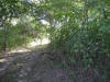 2008-11-08-TX-50.jpg (96247 bytes)