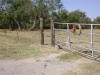 2008-11-13-TX-11.jpg (76821 bytes)