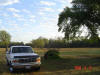 2008-11-13-TX-41.jpg (66327 bytes)