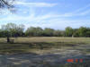 2008-11-13-TX-49.jpg (57789 bytes)