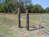 2008-11-13-TX-82.jpg (82073 bytes)