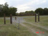 2008-11-13-TX-86.jpg (54768 bytes)
