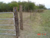2008-11-13-TX-89.jpg (71520 bytes)