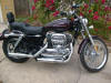 2006 XLH 1200 Classic AD-1.jpg (76183 bytes)