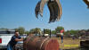 2009-07-14-TX-166.jpg (42824 bytes)
