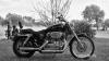 B&W 2009-06-15-TX-02.jpg (66996 bytes)