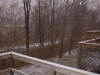 2002-Snow-VA-24.jpg (59004 bytes)
