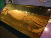 2004-07-10-DC-042.jpg (36780 bytes)
