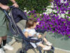 2004-07-10-DC-102.jpg (83244 bytes)