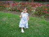 2004-07-10-DC-169.jpg (94517 bytes)