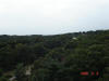 2006-09-04-DC-27.jpg (40603 bytes)