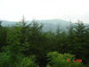 2004-WVa-007.jpg (46440 bytes)