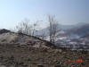 2004-03-05-BX-012.jpg (57335 bytes)