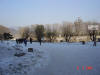 2004-03-05-BX-017.jpg (43370 bytes)