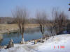 2004-03-05-BX-024.jpg (54874 bytes)