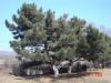 2004-03-05-BX-040.jpg (72095 bytes)