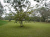 2003-01-22-CD-43.jpg (84855 bytes)
