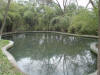 2003-01-22-CD-46.jpg (79385 bytes)