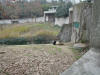 2003-01-22-CD-47.jpg (81094 bytes)
