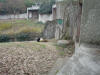2003-01-22-CD-48.jpg (76005 bytes)