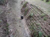 2003-01-22-CD-50.jpg (106707 bytes)