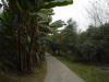 2003-01-22-CD-51.jpg (60348 bytes)